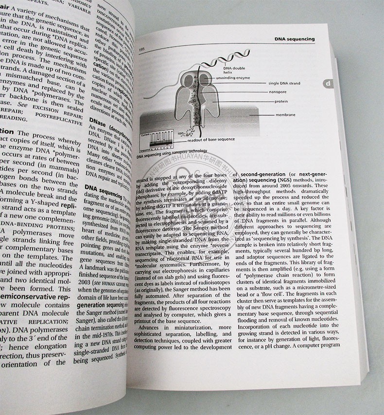 牛津生物学英语词典英文原版 A Dictionary of Biology英文版进口原版英语书籍 Robert Hine-图1