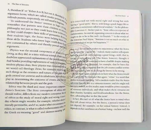 美好生活指南 英文原版 A Guide to the Good Life 像哲学家一样生活 斯多葛哲学的生活艺术 英文版 进口原版书 William B Irvine - 图1