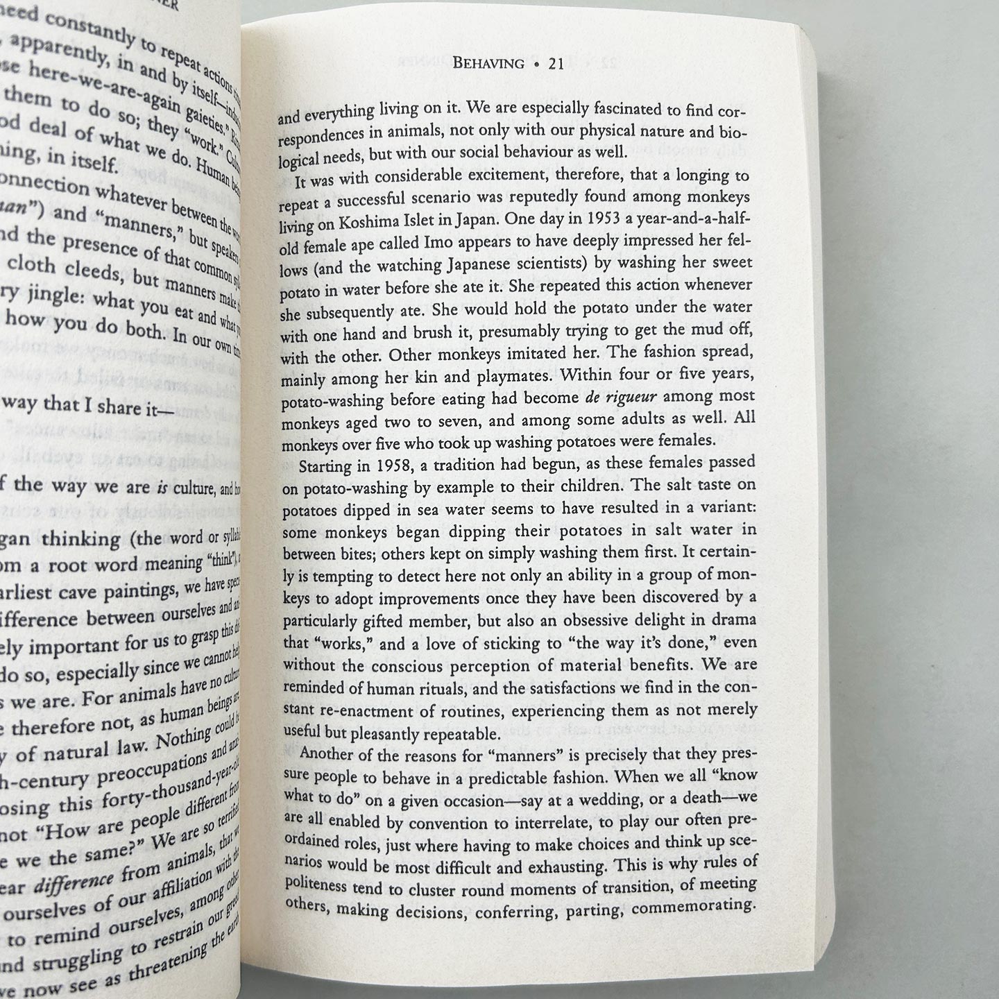 饮食行为学 英文原版 The Rituals of Dinner 文明举止的起源 发展与含义 Margaret Visser 英文版 进口英语原版书籍