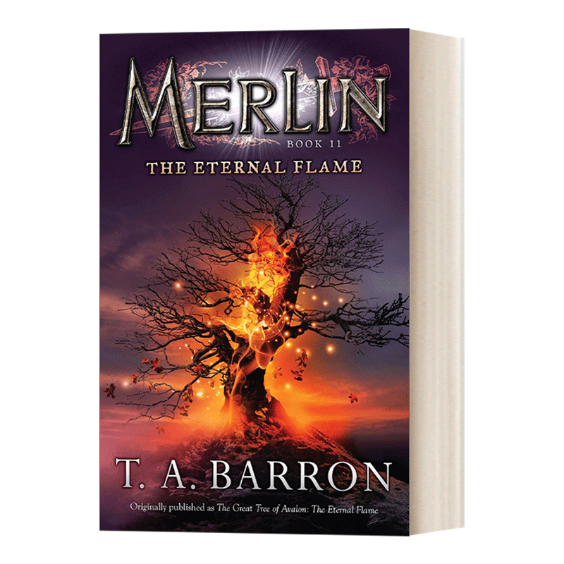 英文原版 The Eternal Flame Book 11 Merlin Saga 梅林传奇系列11 儿童幻想侦探冒险小说 T. A. Barron 英文版 进口英语原版书籍 - 图0