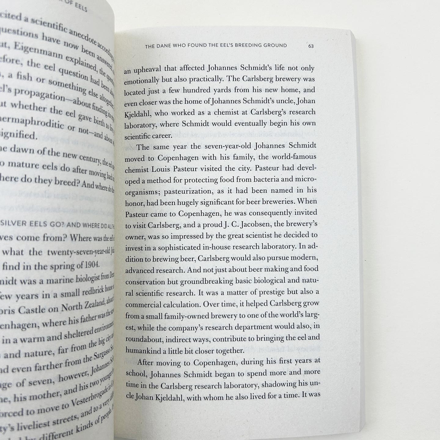 鳗鱼的旅行 英文原版 The Book of Eels 一场对目标与意义的探寻 奥古斯特文学奖 英文版 进口英语原版书籍
