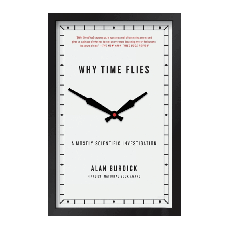 时间的质量 英文原版 Why Time Flies 为什么时光飞逝 英文版 进口英语原版书籍 - 图0