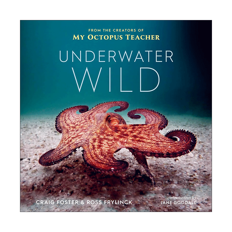 英文原版 Underwater Wild 狂野蔚蓝 章鱼老师的非凡世界 精装 Netflix热门同名纪录片幕后制作人Craig Foster 进口英语原版书籍