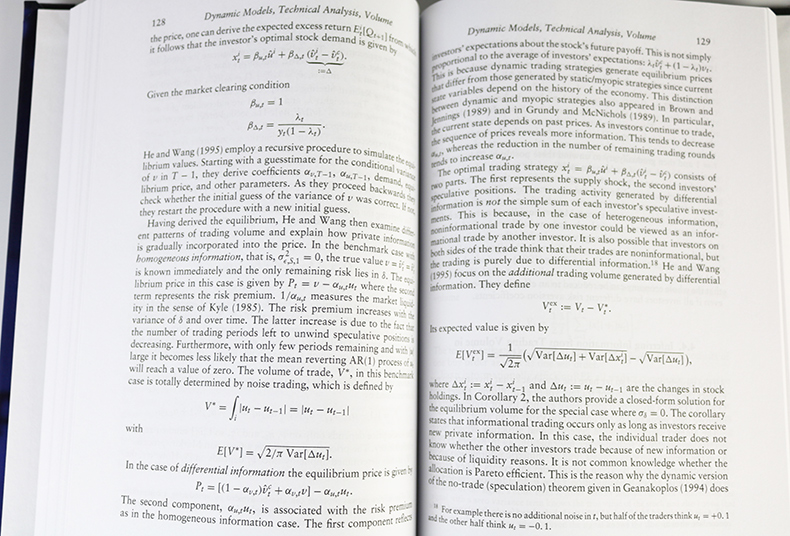 信息不对称下的资产定价 英文原版 Asset Pricing under Asymmetric Information 泡沫 崩溃 技术分析和羊群效应 精装 进口书