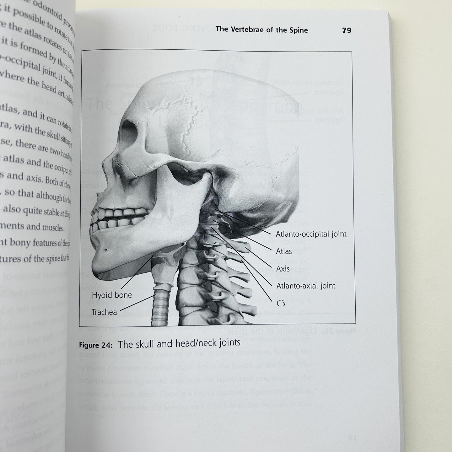 运动人体解剖 英文原版 Anatomy of the Moving Body 第二版 骨骼 肌肉和关节的基础课程 医学 英文版 进口英语原版书籍