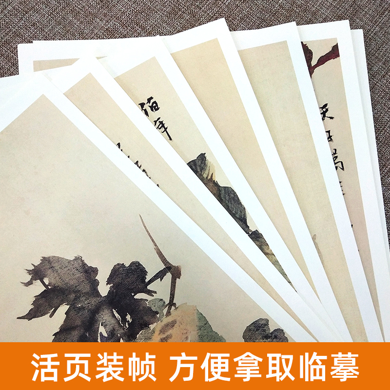 8开  任伯年小品绘画1-6 (中国高等艺术院校教学范本) 任伯年写意花鸟画集技法教程临摹范本中国画作品集画册 人民美术出版社 - 图0