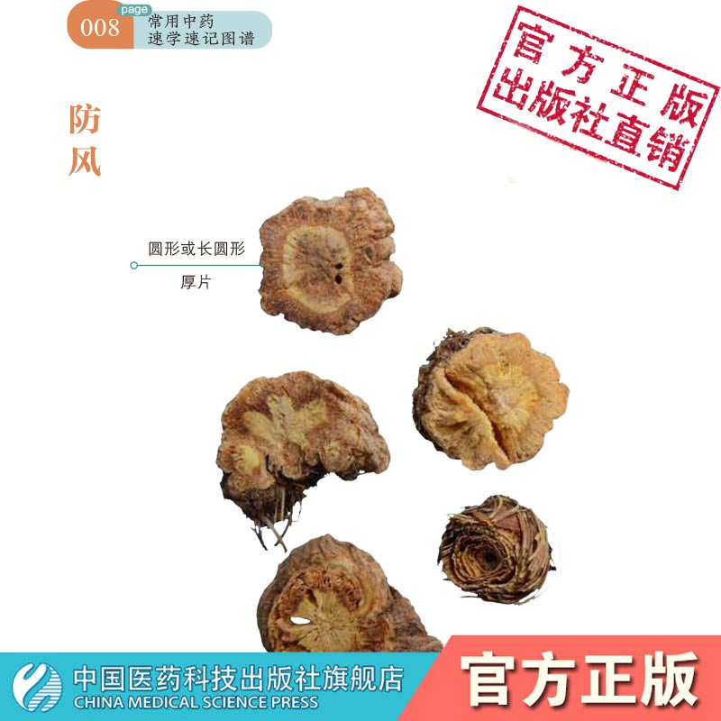 常用中药速学速记图谱学中药学教材中药饮片图鉴别功效性味临床应用法用量科学快速记忆速学速查识药辨药用药口诀彩色图谱基础手册 - 图1