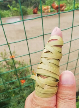 竹篾丝薄 细 软竹篾 竹篾条 竹工艺品 竹丝竹片手工DIY竹编材料