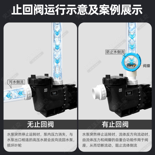 游泳池循环水泵出水止回阀循过滤水泵单向阀透明盖ABS二通阀设备 - 图2