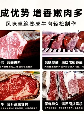 风冷熟成柜牛羊肉排酸干式熟成