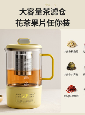 摩动0.6L迷你养生壶全玻璃电热煮茶器家用办公室花茶炖煮一体壶