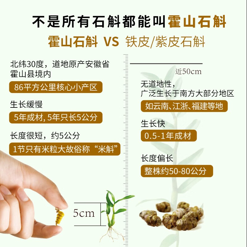  九仙尊石斛/枫斗