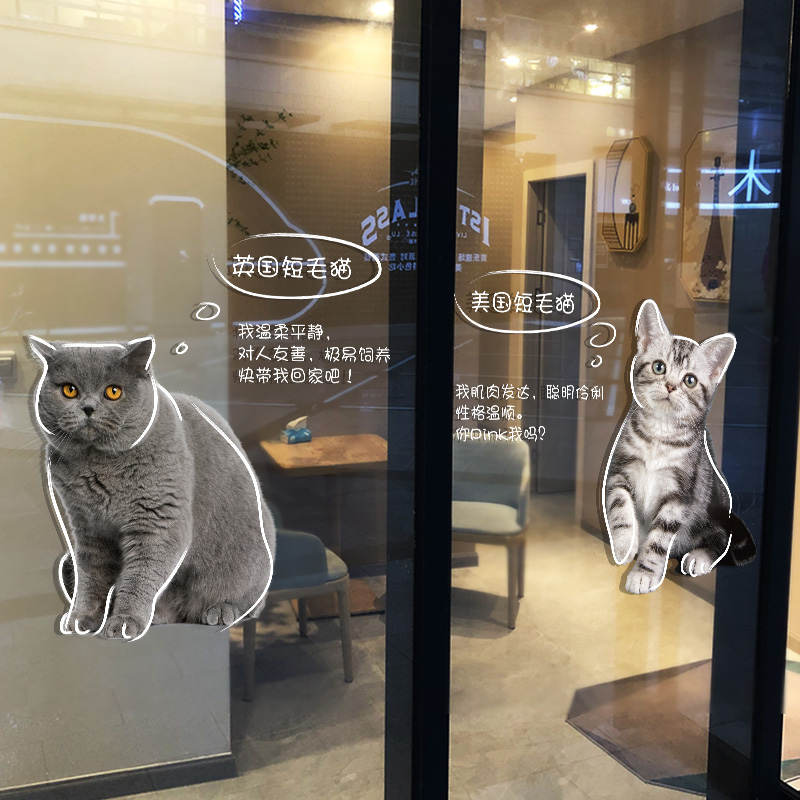 宠物店装饰玻璃门贴纸撸猫美容医院橱窗贴猫咪墙贴画门口装饰背景 - 图0