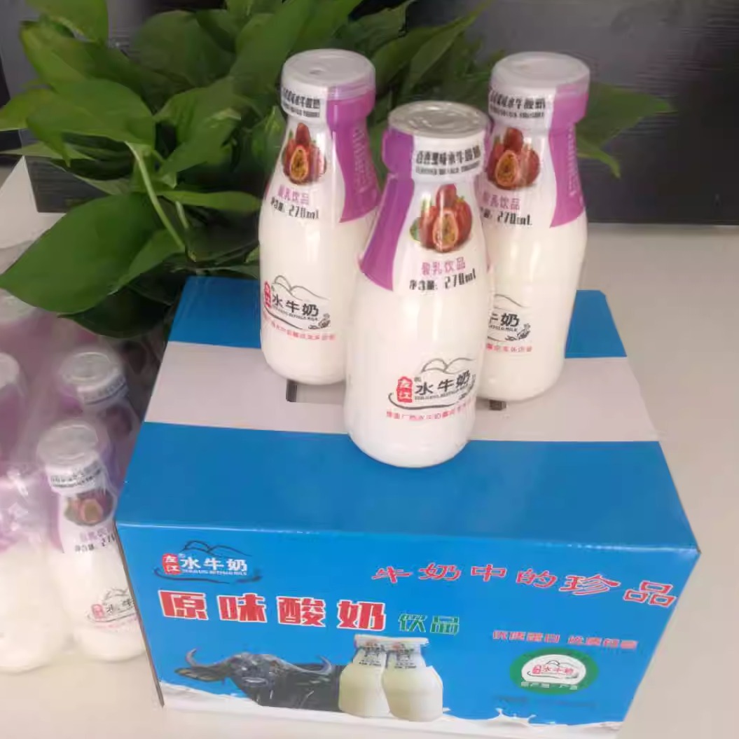 左江水牛酸奶草莓味270mL*12瓶整箱稀有奶源常温发酵乳酸饮品包邮 - 图2