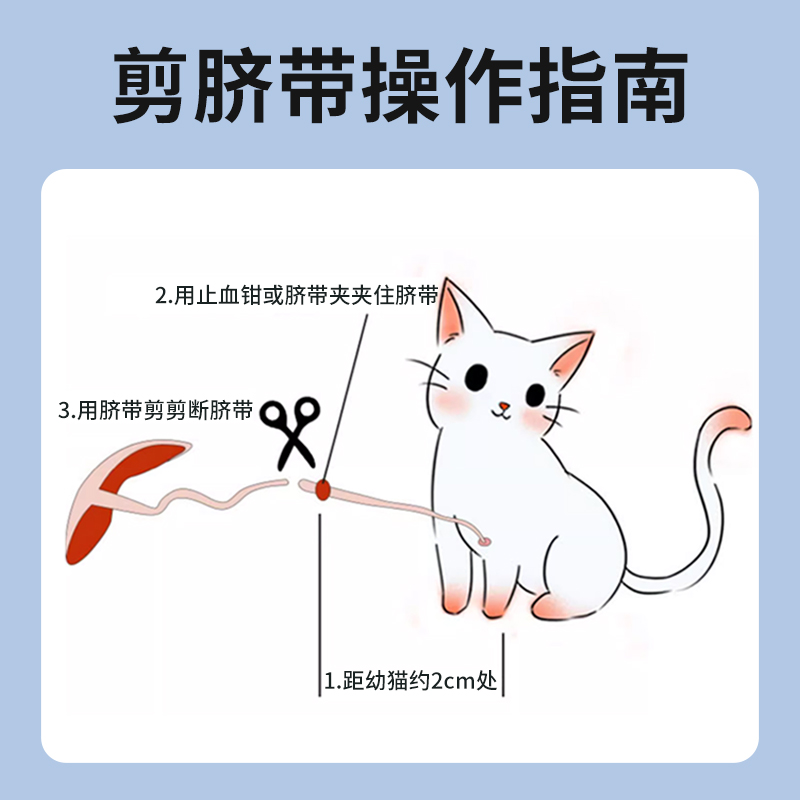 宠物待产包怀孕猫咪生产用具全套狗接生工具套装备产产房吸羊水器 - 图2