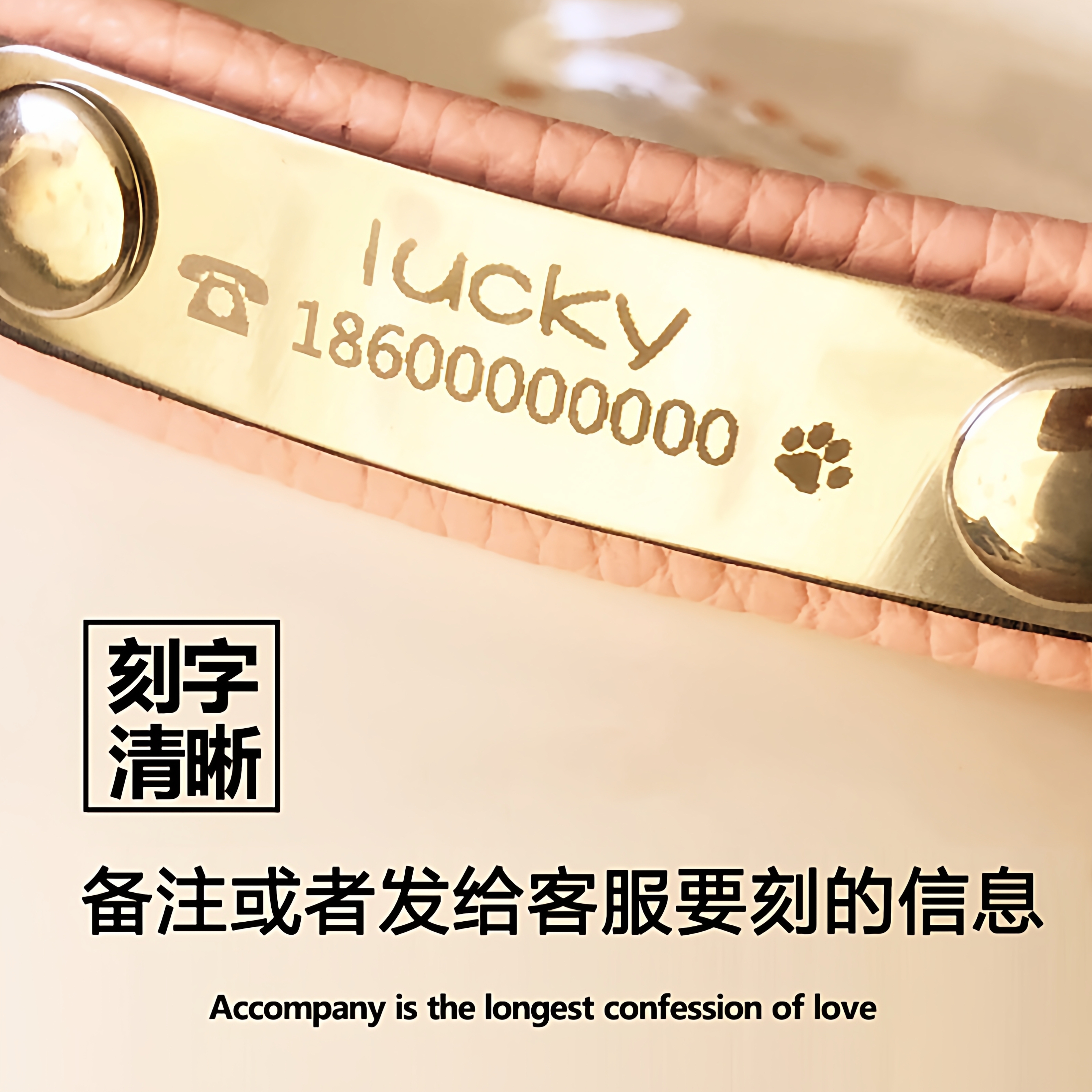 牛皮刻字猫咪狗狗项圈真皮刻名字防丢金毛泰迪宠物调节颈脖套铃铛 - 图3