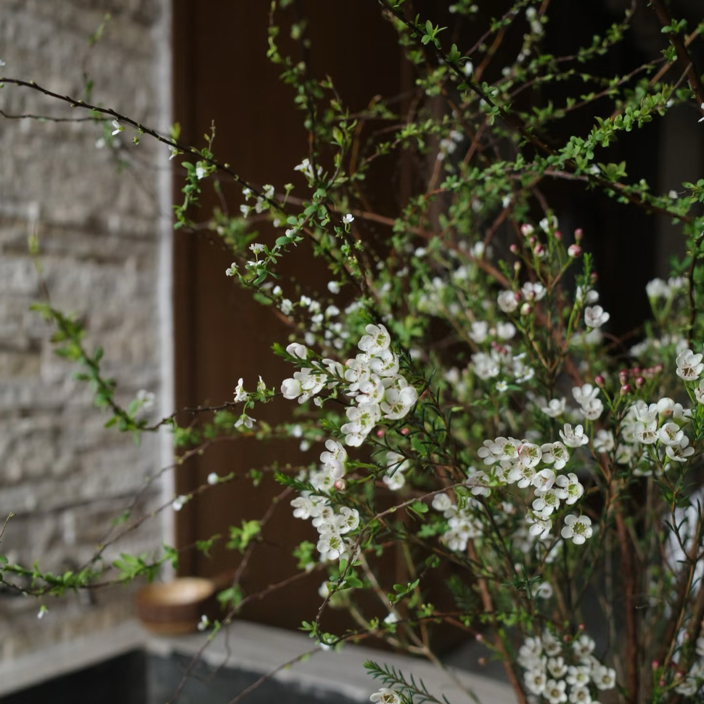 雪柳花鲜花腊梅节日鲜花束家庭混搭花束鲜花速递家庭水养鲜切花,淘宝优惠券,粉丝福利购,淘宝优惠卷
