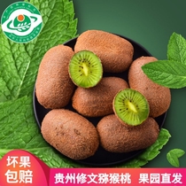 Verns expensive and long orchard green heart kiwi fruit.