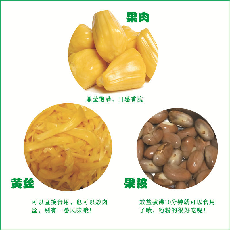 帮农水果旗舰店30-35斤海南黄肉菠萝蜜现摘现发新鲜水果包邮应当季木波罗蜜整个3