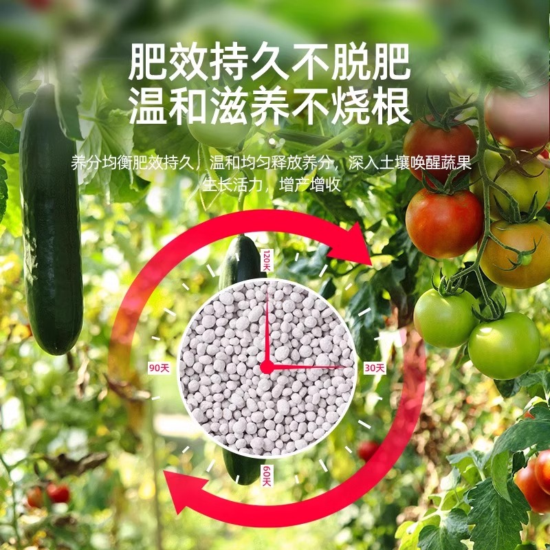 蔬菜营养土种菜专用土阳台育苗家庭有机肥料种植泥土壤盆栽种菜土 - 图2