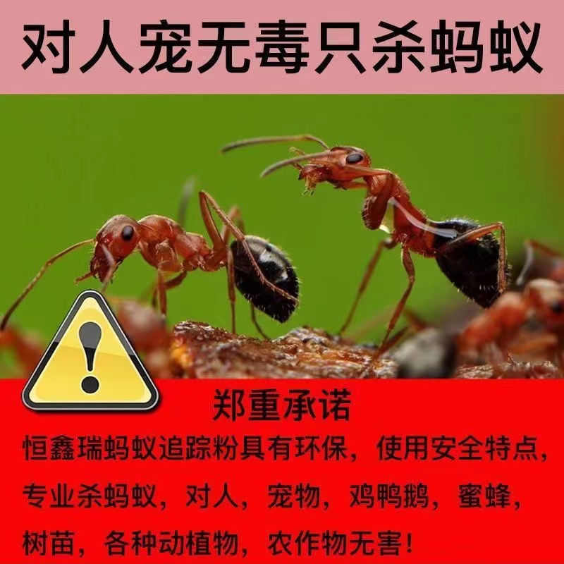 粉剂灭小黄蚂蚁药家用室内非无毒全窝灭蚁药特效一窝一锅除杀蚁饵 - 图1