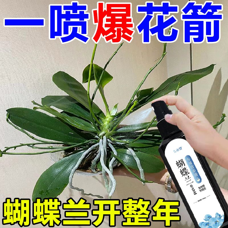 蝴蝶兰专用肥兰花营养液文心兰君子兰促开花拯救黄叶烂根免稀释 - 图2