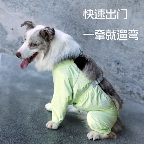 BORORO小狗狗四脚防尘裤防水防尿外出遛狗雪纳瑞宠物防脏腿套神器 - 图1