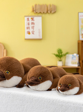 卡通鸭嘴兽毛绒玩具女生睡觉抱枕家居摆件儿童玩偶车载飘窗