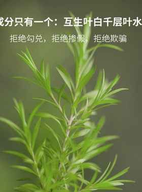 童颜纪茶树纯露花水喷雾