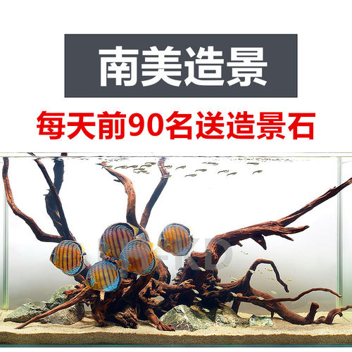 三湖造景鱼缸造景套餐原生缸南美水族溪流缸杜鹃根沉木水景骨架 - 图1