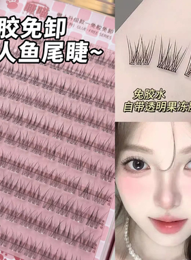 120簇无梗免胶懒人鱼尾假睫毛
