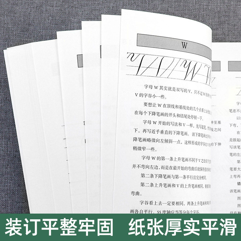 圆体字英文书法5册 花体字圣经+圆体字+英文书法24课+斯宾塞体+字母工坊 英文书法手写体英语书法艺术字花体字书法