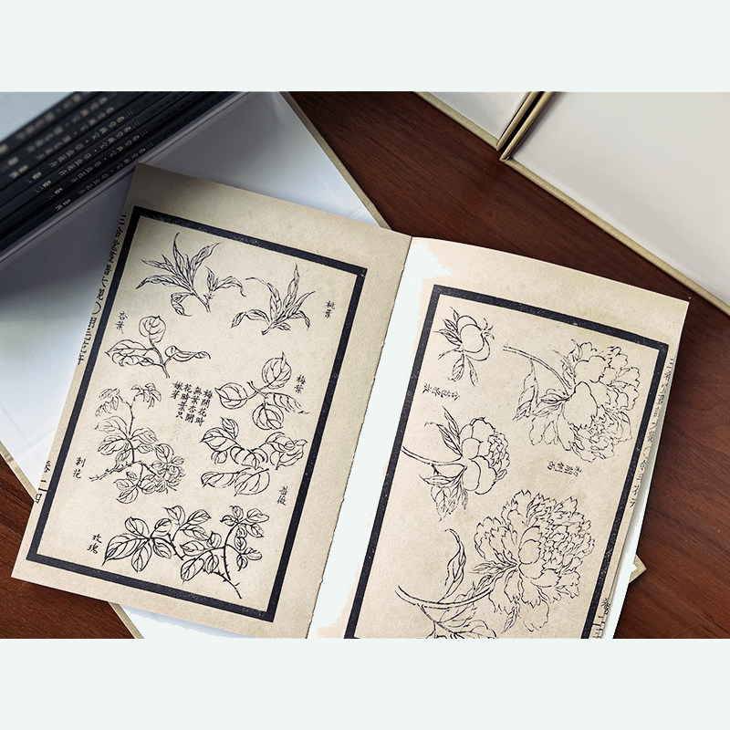 【大32开】中国古代经典画谱集成 三希堂画宝翎毛草虫花卉卷 全8册叶九如 编著近代著名画家学习范本初学入手画法名家范作刻印精良