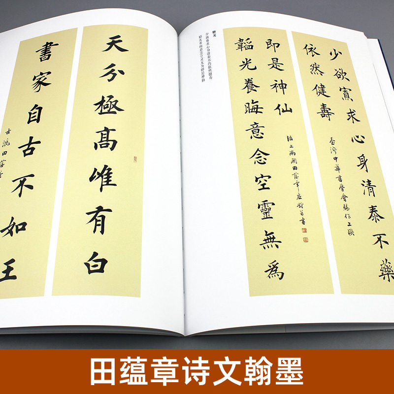 正版田蕴章诗文翰墨行书楷书草书小楷书法毛笔字帖田蕴章教授的个人书法作品集书法爱好者天津大学出版社-图1