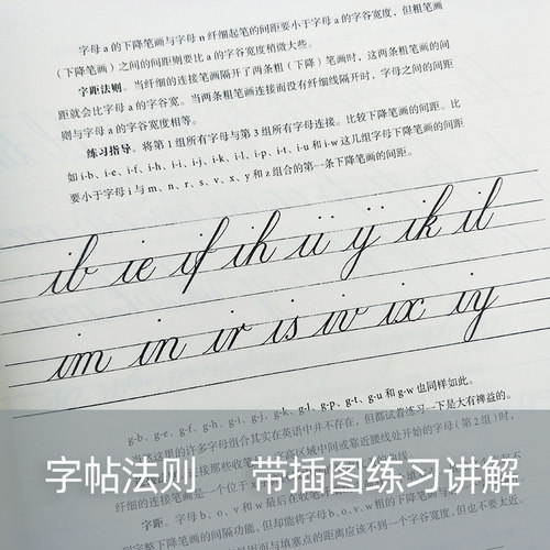 圆体字 美国英文字体书法手册 复古花体字圆体书法临摹英文习字帖初学自学英语基础指导入门教程 钢笔英语圆字体书法作品临摹教材 - 图2