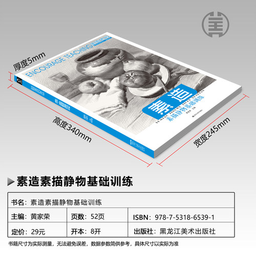 素描静物组合临摹书范本绘画入门教材零基础单体明暗结构水果实物美术生对临初学者图册画画自学8开铅笔手绘中联考高考 - 图2