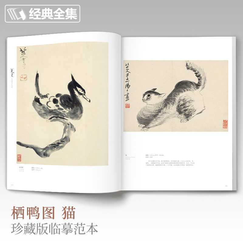 经典全集 八大山人画集 8开中国画临摹画册书籍写意水墨国画山水花鸟鱼虫技法教材高清册页 朱耷花卉禽鸟名作赏析鉴赏 杨建飞主编 - 图1