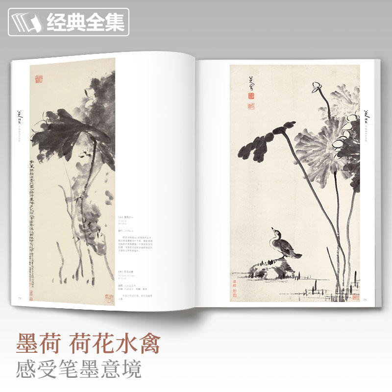 经典全集 八大山人画集 8开中国画临摹画册书籍写意水墨国画山水花鸟鱼虫技法教材高清册页 朱耷花卉禽鸟名作赏析鉴赏 杨建飞主编 - 图3