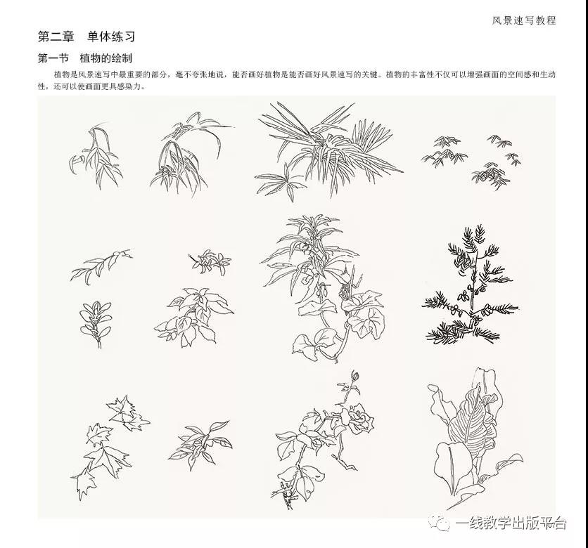 正版一线教学风景速写教程从入门到精通 钢笔风景画入门构图到细节范画详解