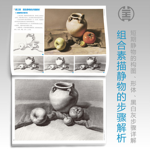 素描静物组合临摹书范本绘画入门教材零基础单体明暗结构水果实物美术生对临初学者图册画画自学8开铅笔手绘中联考高考 - 图1