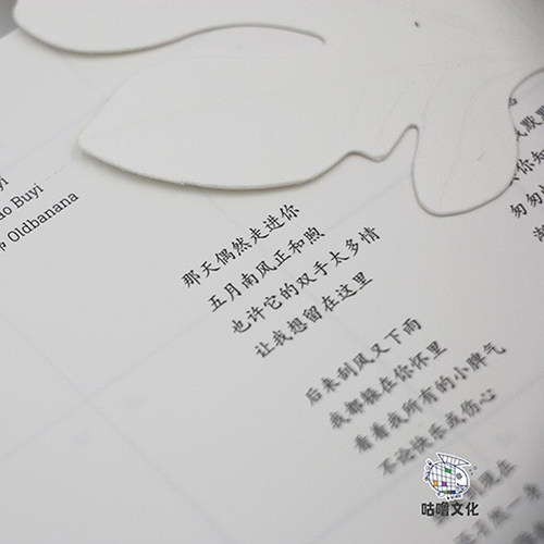 正版 毛不易2020新专辑 小王 2CD 小王日记 我是歌手 - 图3