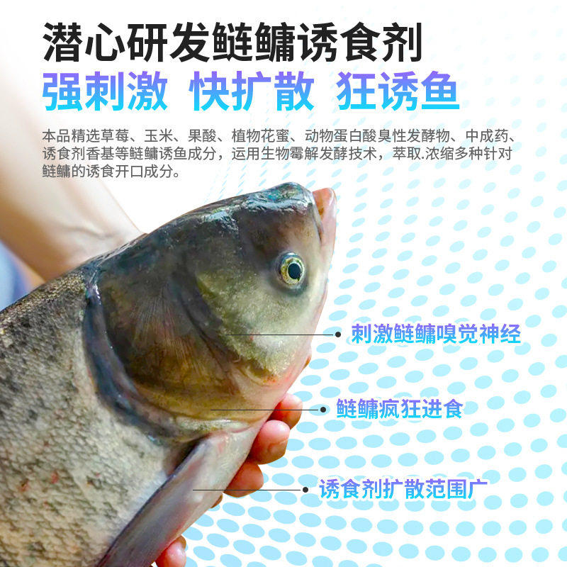 鲢鳙小药开口剂新型浮钓鱼大头鱼花白鲢鱼饵料专用诱鱼剂野钓链镛,淘宝优惠券,粉丝福利购,淘宝优惠卷