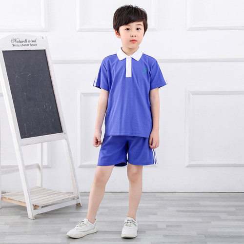 深圳市小学生校服男女统一夏装运动服套装短袖上衣短裤速干特级版 - 图0