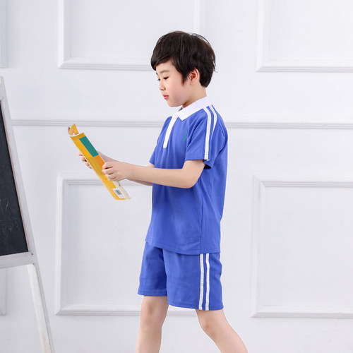 深圳市小学生校服男女统一夏装运动服套装短袖上衣短裤速干特级版 - 图2