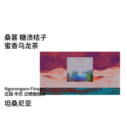 【2026冠军庄园】坦桑 Finagro庄园 瑰夏/帕卡马拉手冲咖啡豆 - 图0