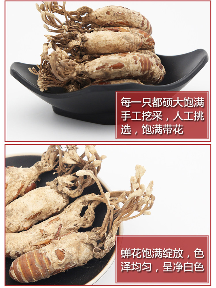 2025新采野生金蝉花500g婵花蝉花虫草孢子粉知了花金蚕花官方正品,淘宝优惠券,粉丝福利购,淘宝优惠卷