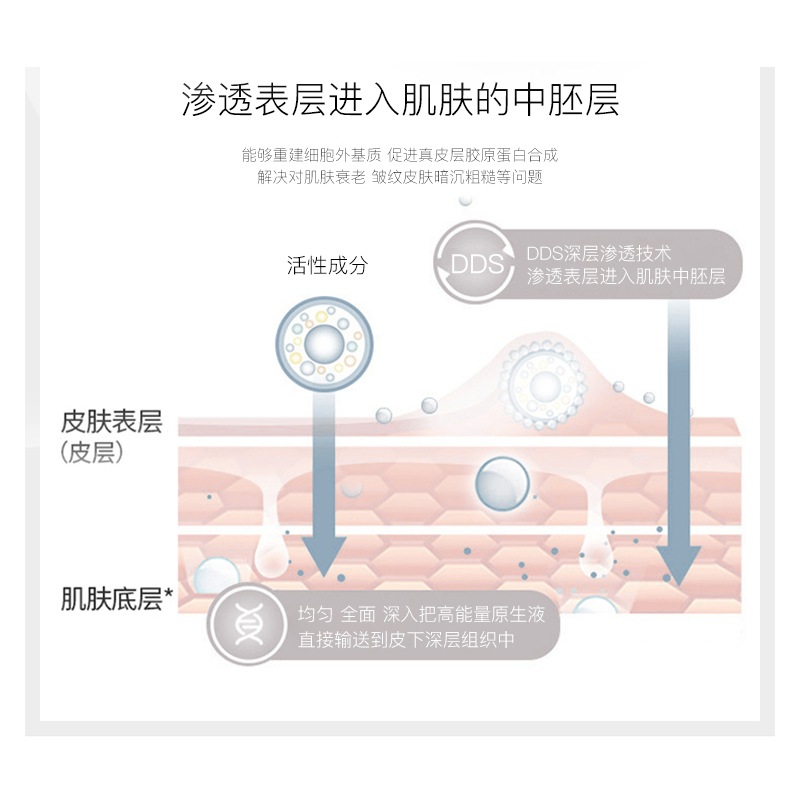 胖六哥DDS冻干絮精华金标加强版调理肌底修复敏感肌屏障十组 - 图1