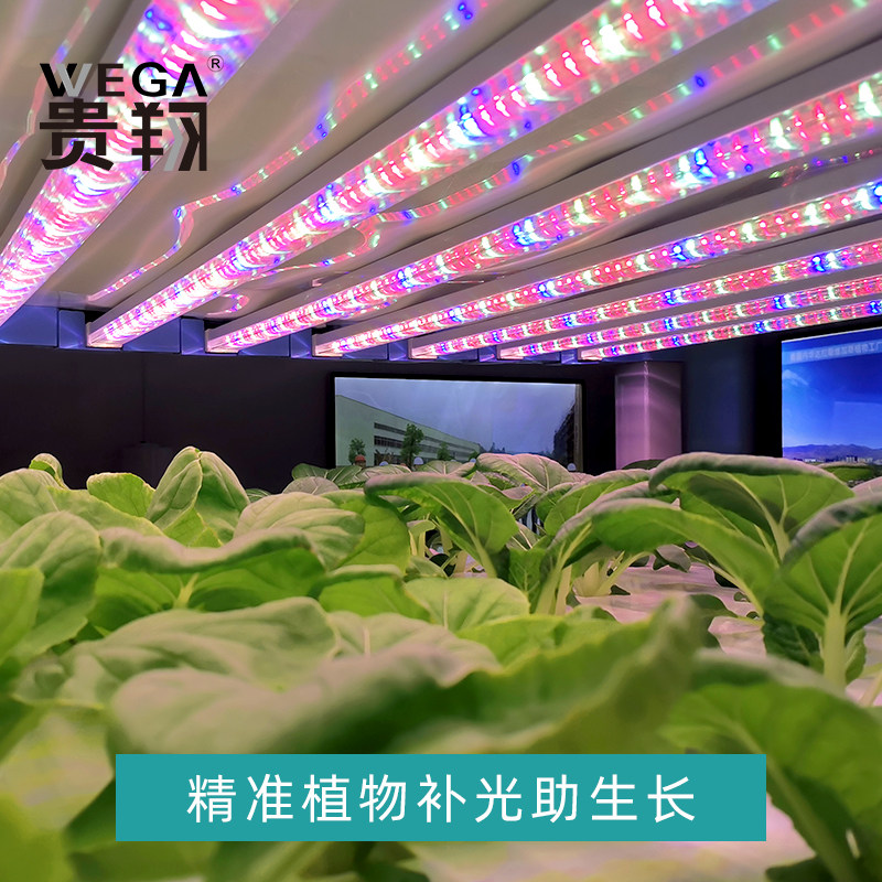 贵翔 红蓝光植物生长灯LED灯管补光灯蔬菜育苗组培实验植物工厂,淘宝优惠券,粉丝福利购,淘宝优惠卷