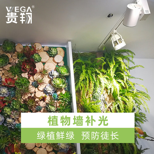 植物生长灯射灯龙舌兰雨林缸室内全光谱仿太阳光轨道植物墙补光灯 - 图1