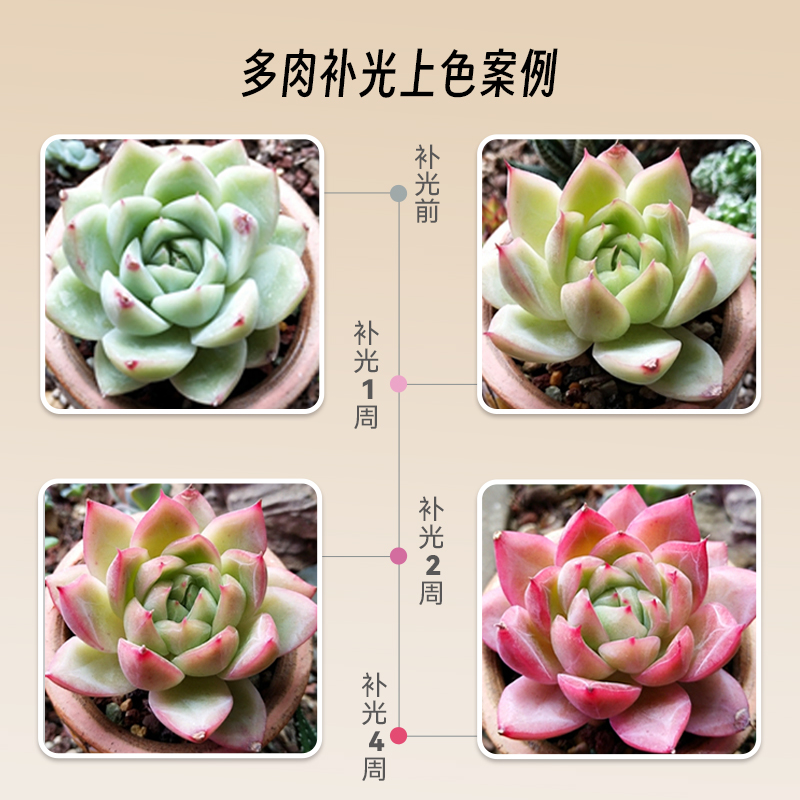 贵翔 USB夹子式植物补光灯生长灯全光谱仿太阳光灯绿植灯光照多肉,淘宝优惠券,粉丝福利购,淘宝优惠卷